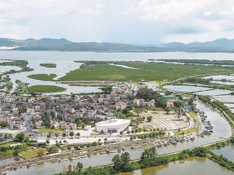 阳江程村镇红光村：红林蚝韵 潮启新程