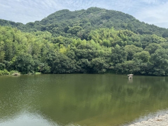 “水中大熊猫”现身宁波 见证生态好水质