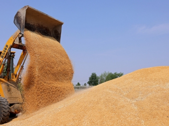 硬核省粮 我国粮食机收三年减损超500亿斤