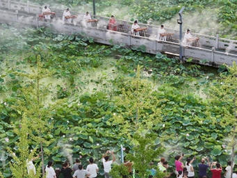 夏日荷花池为舞台 游客沉浸式感受文化大餐