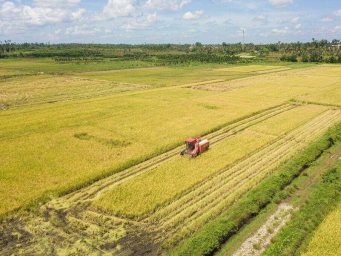 海口：“琼山福稻”香
