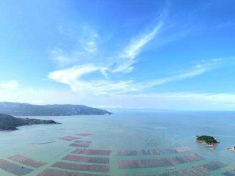 福建霞浦：海洋牧场养殖作业
