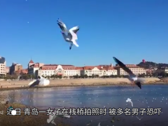 ＂有执照才能拍＂ 青岛女子在栈桥免费拍照遭多人恐吓